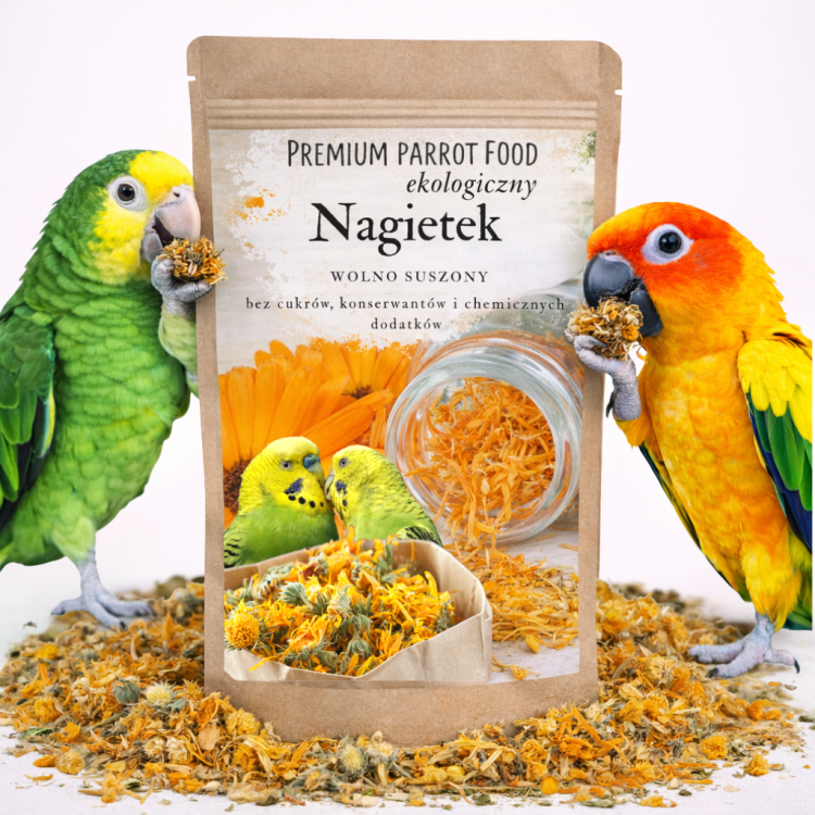 Premium Parrot Food - Kwiatki Nagietka - Nagietek dla wszystkich papug 25g od ParrotPlanet.pl
