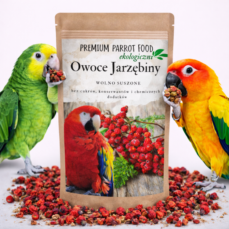 Ekologiczna, Chrupiąca Jarzębina | Przekąska lub Zdrowy dodatek do pokarmu dla wszystkich papug 100g od ParrotPlanet.pl