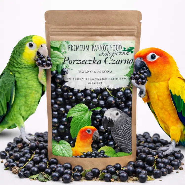 Ekologiczna, Chrupiąca Borówka XXL dla wszystkich papug 50g  od ParrotPlanet.pl