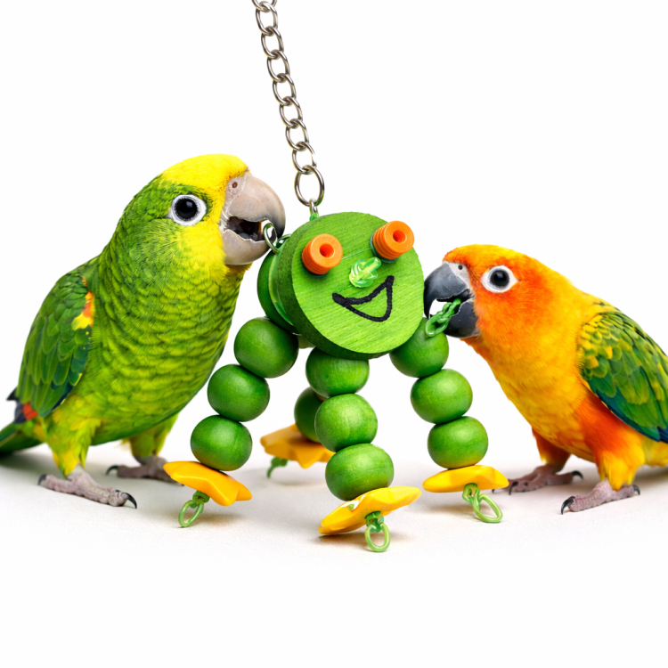 Kochany Robaczek - zabawka dla wszystkich papug od ParrotPlanet.pl