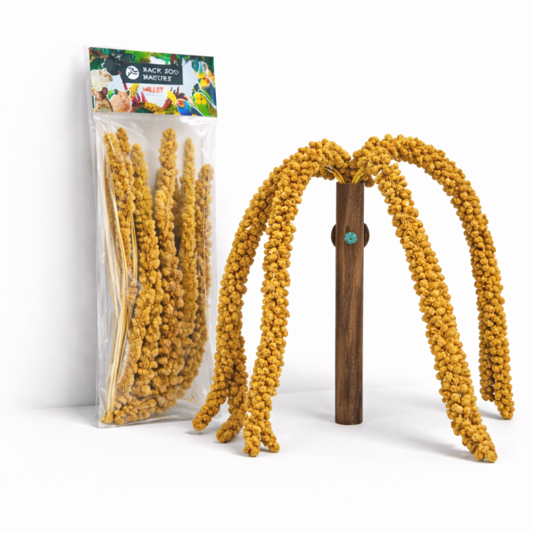 Proso Żółte w Bukiecie od Back Zoo Nature | Bukiet Prosa Żółtego w Kłosach | Przysmak dla Wszystkich Papug 150g od ParrotPlanet.pl