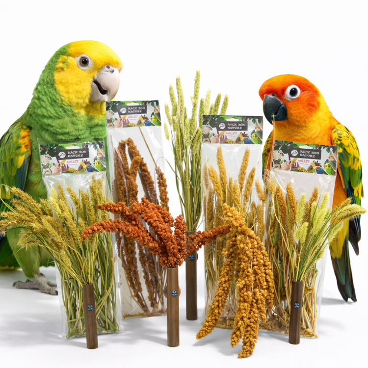 Proso Czerwone w Bukiecie od Back Zoo Nature | Bukiet Prosa Czerwonego w Kłosach | Przysmak dla Wszystkich Papug 150g od ParrotPlanet.pl