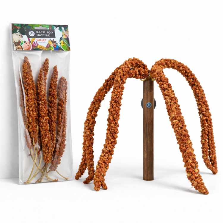 Proso Czerwone w Bukiecie od Back Zoo Nature | Bukiet Prosa Czerwonego w Kłosach | Przysmak dla Wszystkich Papug 150g od ParrotPlanet.pl