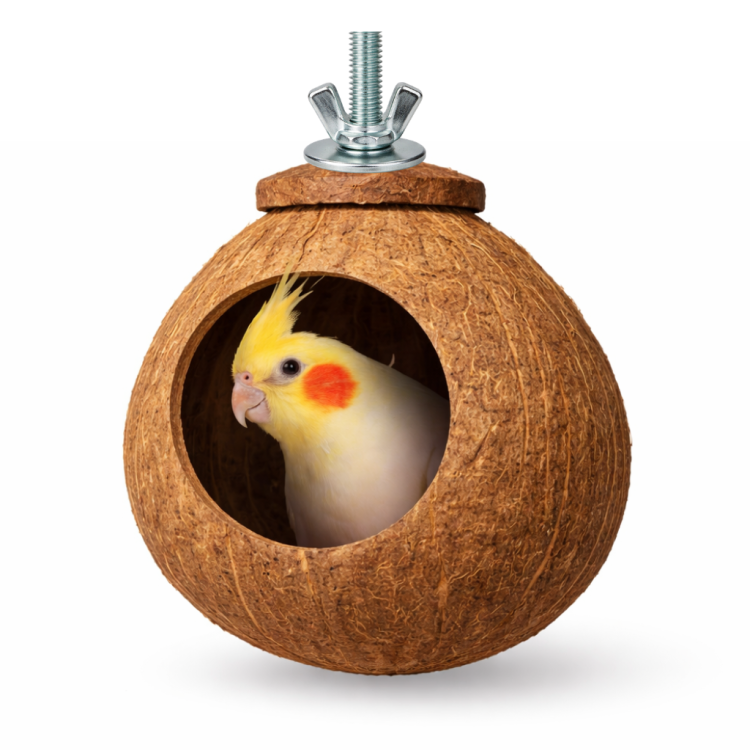 Kokosowa dziupla - dla średnich papug od ParrotPlanet.pl