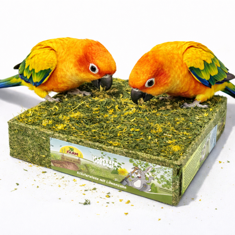 Jr Farm | Łąka do dziobania z mniszkiem, babką i ziołami polnymi dla papug 550 g od ParrotPlanet.pl