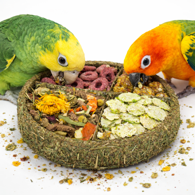 JR FARM Gourmet Taler do Dziobania z warzywami, ziołami i groszkiem dla papug 100 g  od ParrotPlanet.pl