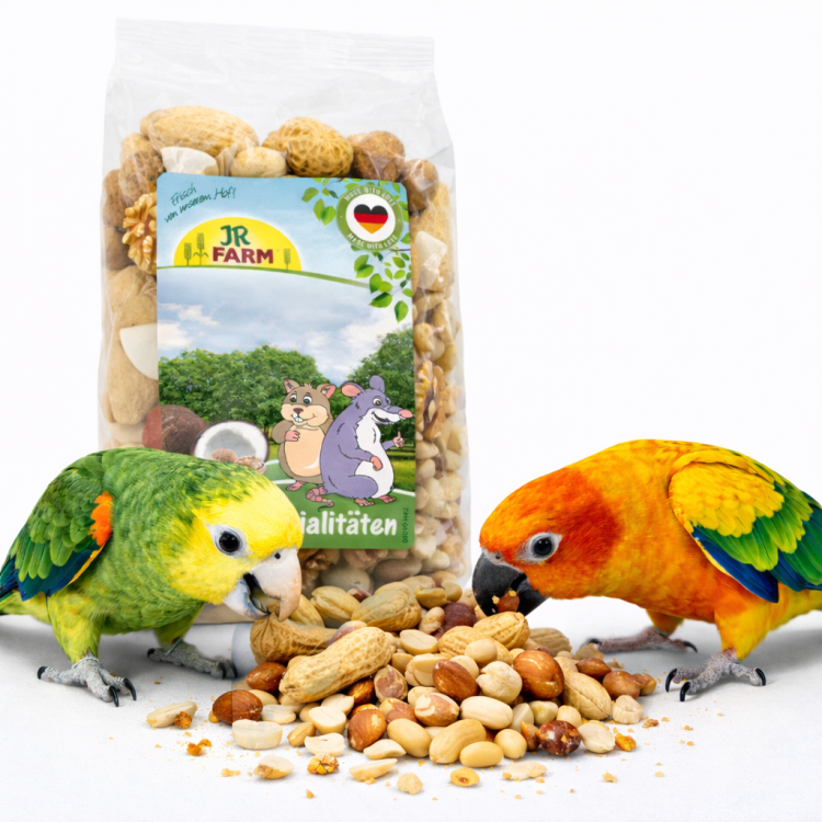 JR FARM Orzechowy Mix do Dziobania z orzeszkami ziemnymi, włoskimi, laskowymi i kokosem dla papug 200 g od ParrotPlanet.pl