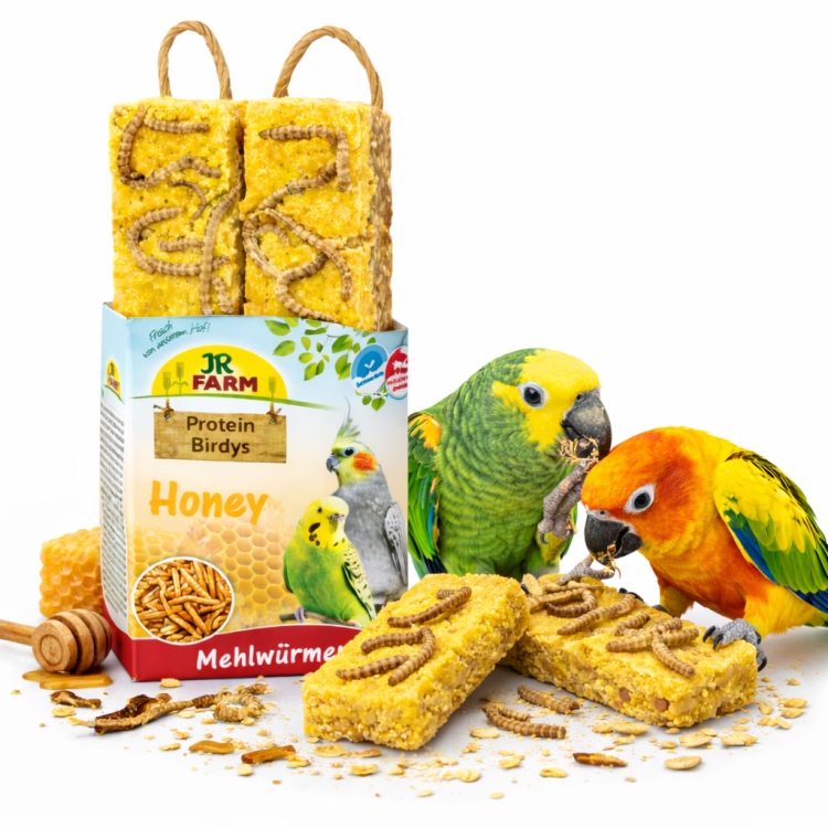 JR FARM Protein-Birdys Honey Silkworms- Pyszny biszkopt jajeczny z miodem i mącznikiem dla wszystkich papug  od ParrotPlanet.pl