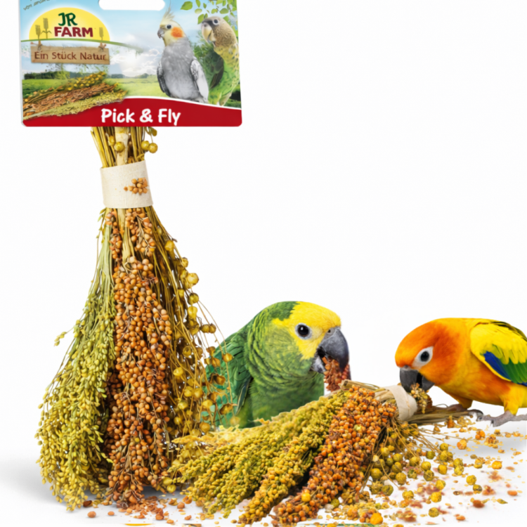 JR FARM Pick & Fly - bukiecik smakołyków w kłosach do chrupania dla wszystkich papug 130g od ParrotPlanet.pl
