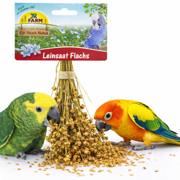 JR FARM Len w kłosach do chrupania dla wszystkich papug 30g od ParrotPlanet.pl