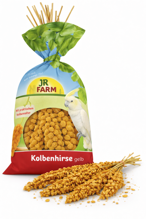 JR FARM Spray Millet Yellow- proso żółte w kłosach 500g od ParrotPlanet.pl