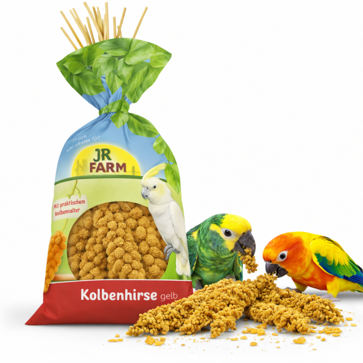 JR FARM Spray Millet Yellow- proso żółte w kłosach 500g od ParrotPlanet.pl