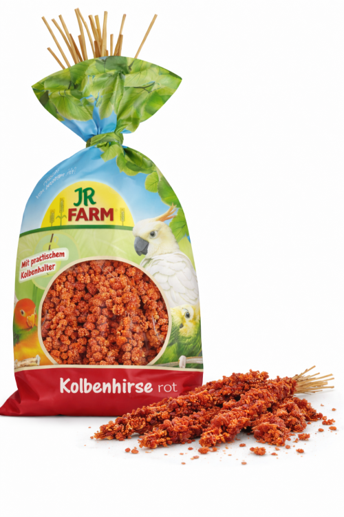 JR FARM Spray Millet red- proso czerwone dla papug w kłosach 500g od ParrotPlanet.pl