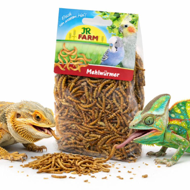 JR FARM Mączniki- naturalne białko dla wszystkich gadów 25g od ParrotPlanet.pl