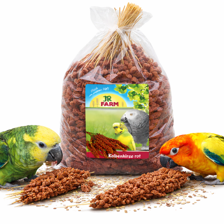 JR FARM Spray Millet red- proso czerwone w kłosach 1kg od ParrotPlanet.pl