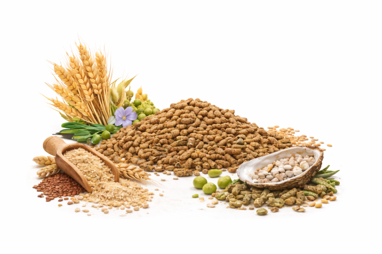 Harrison’s Organic Premium Pellets Adult Lifetime | Ekologiczne granulaty dla wszystkich papug 453g od ParrotPlanet.pl