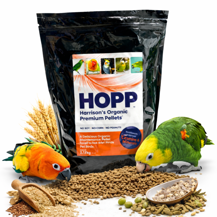 Harrison’s Organic Premium Pellets Adult Lifetime | Ekologiczne granulaty dla wszystkich papug 2,27 kg od ParrotPlanet.pl