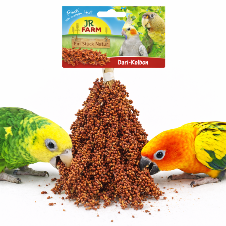 JR FARM Dari w kłosach do chrupania dla wszystkich papug 100g od ParrotPlanet.pl