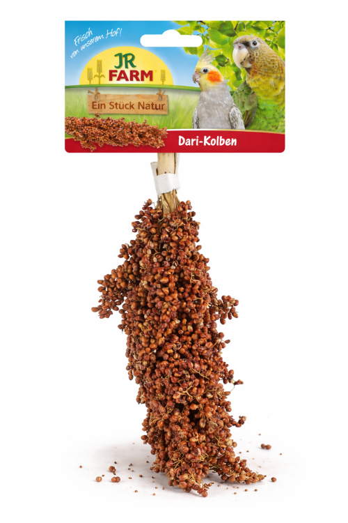 JR FARM Dari w kłosach do chrupania dla wszystkich papug 100g od ParrotPlanet.pl