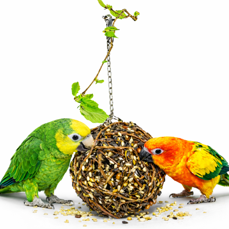 JR FARM Baryłka wierzbowa XXL z pysznościami - do zabawy i chrupania dla wszystkich papug 300g od ParrotPlanet.pl