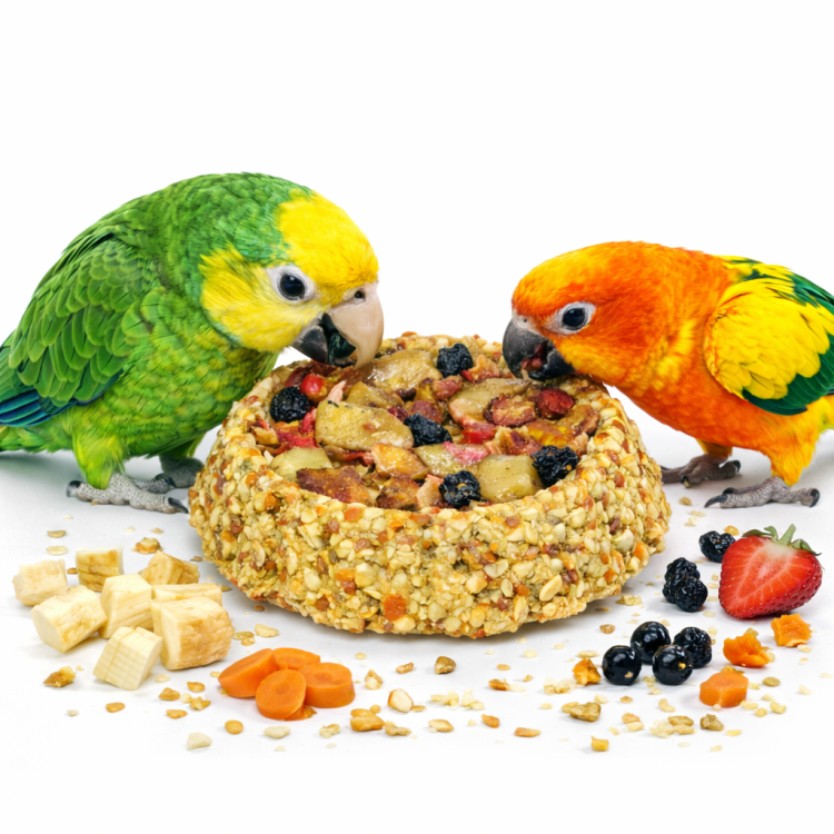 JR FARM Chrupiące Ciacho owocowe - dla wszystkich papug 80g  od ParrotPlanet.pl