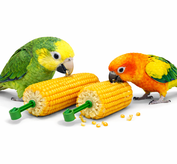 JR FARM Chrupiąca Kukurydza - dla wszystkich papug 200g od ParrotPlanet.pl