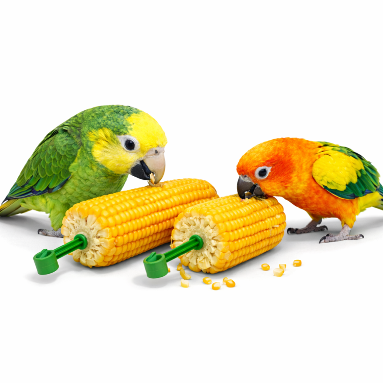 JR FARM Chrupiąca Kukurydza - dla wszystkich papug 200g od ParrotPlanet.pl