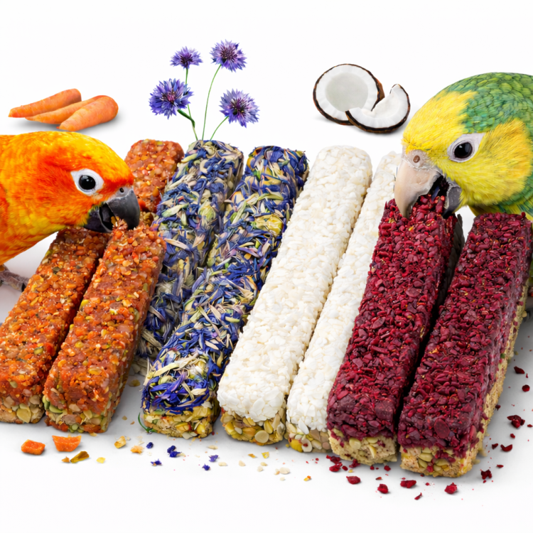 JR FARM Grainless Deluxe Sticks Deluxe - Bezzbożowe kolby Deluxe z kokosem, burakami, marchewką i kwiatem bławatka dla wszystkich papug od parrotplanet.pl