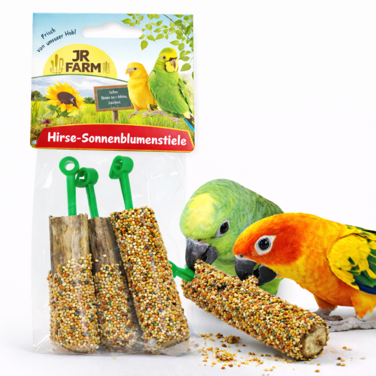 JR FARM Paluchy słonecznikowe dla papug nadziewane pysznym ziarnem 3szt od ParrotPlanet.pl