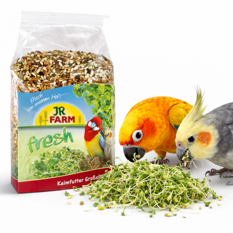 JR FARM Big Parakeet - Kiełki dla nimf i innych średnich papug 1kg  od ParrotPlanet.pl