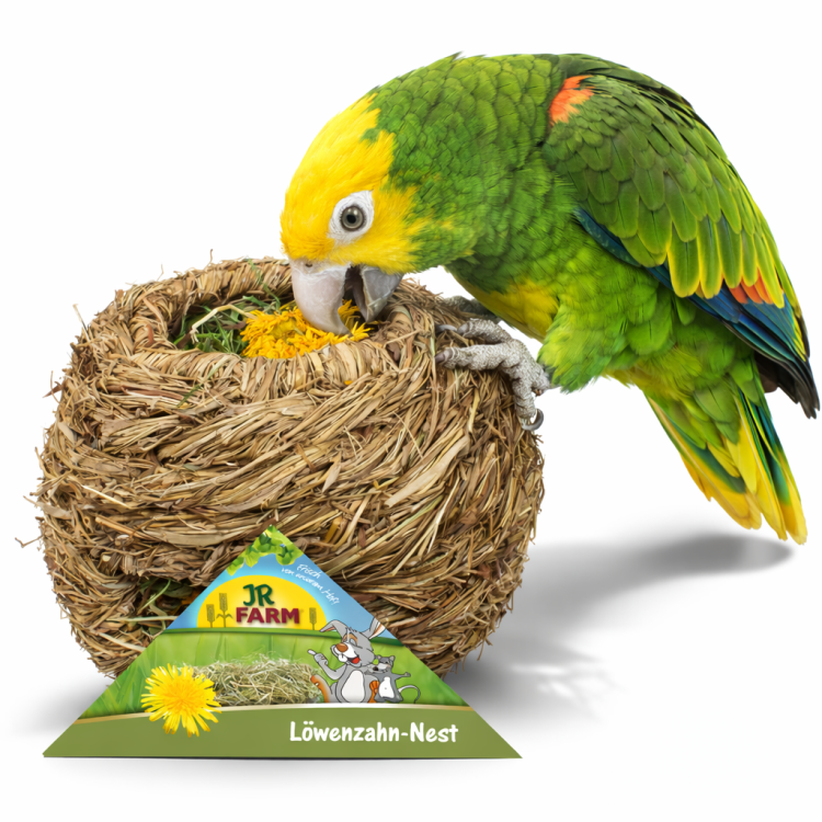JR FARM Gniazdo z mniszkiem lekarskim - dla wszystkich papug 130g  od ParrotPlanet.pl