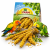 JR FARM Spray Millet Yellow- proso żółte w kłosach dla papug 1kg  od ParrotPlanet.pl