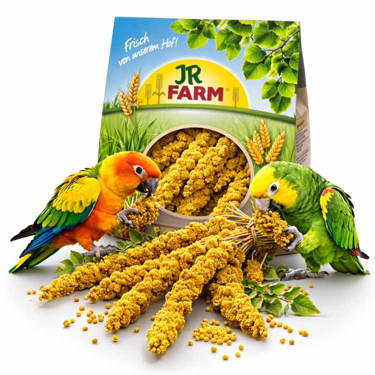 JR FARM Spray Millet Yellow- proso żółte w kłosach dla papug 1kg  od ParrotPlanet.pl
