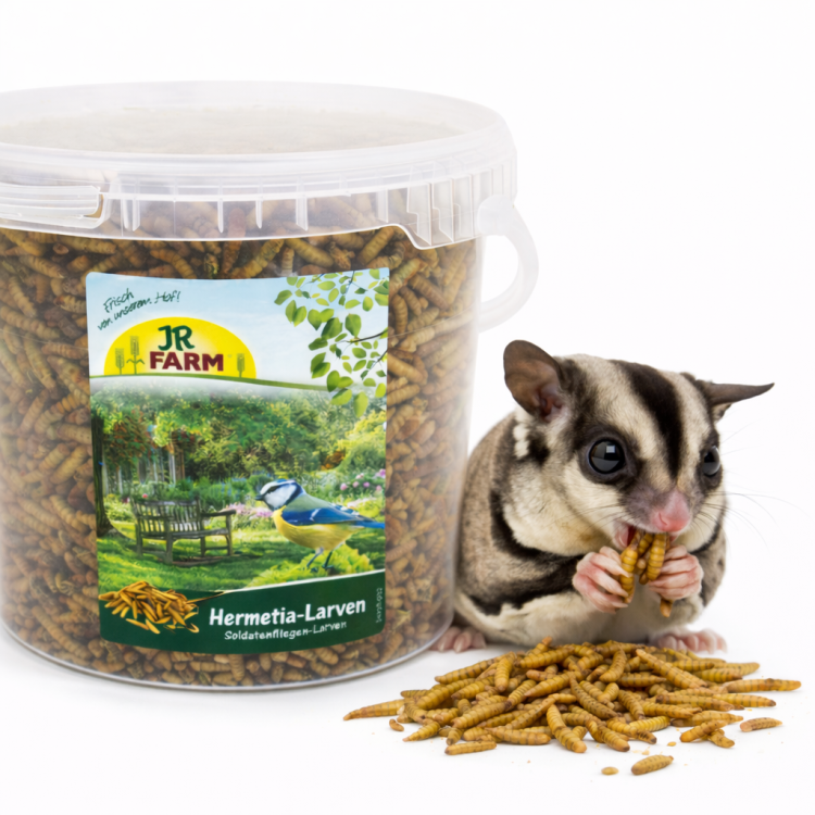 JR FARM Larwy Mącznika | Naturalne Białko dla Lotopałanek | Mącznik WIADERKO 400g od ParrotPlanet.pl