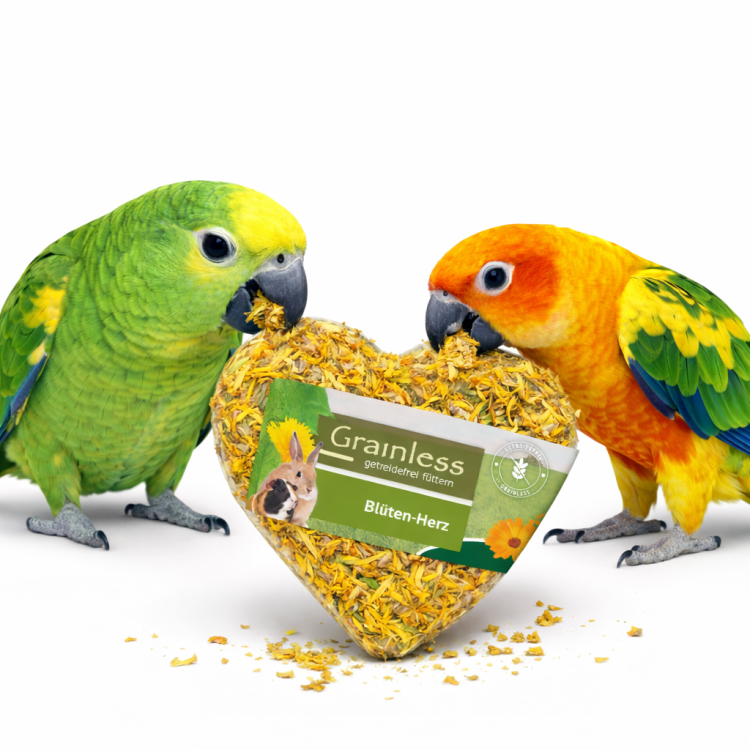 JR FARM Bezzbożowe Kwiatowe Serduszko - przekąska dla wszystkich papug 90g  od ParrotPlanet.pl