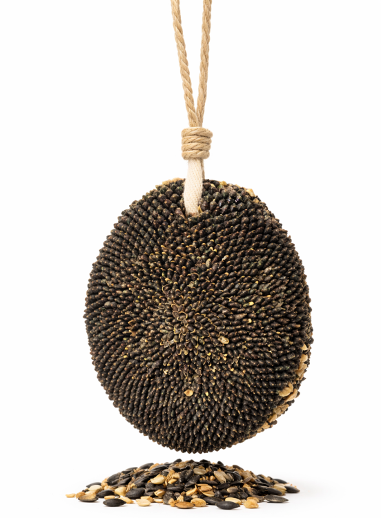 JR FARM słonecznik na sznurku - czyli zdrowa przekąska dla wszystkich papug 30g od ParrotPlanet.pl