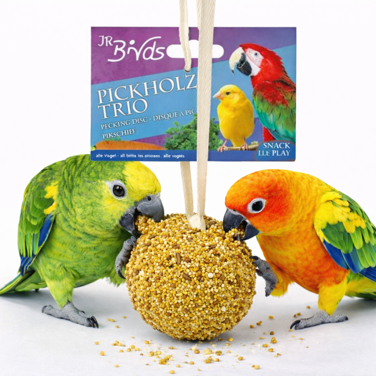 JR FARM Baryłka wierzbowa z pysznościami - do zabawy i chrupania dla wszystkich papug 55g od ParrotPlanet.pl