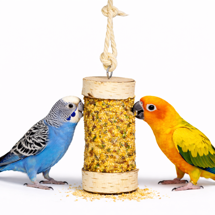 JR FARM Baryłka pełna radości dla mniejszych papug 135g od ParrotPlanet.pl