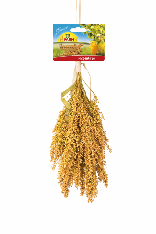 JR FARM Proso rozpierzchłe w kłosach do chrupania dla wszystkich papug 400g od ParrotPlanet.pl