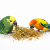 JR FARM Len w kłosach 30 g naturalny przysmak dla gryzoni do żerowania  od ParrotPlanet.pl
