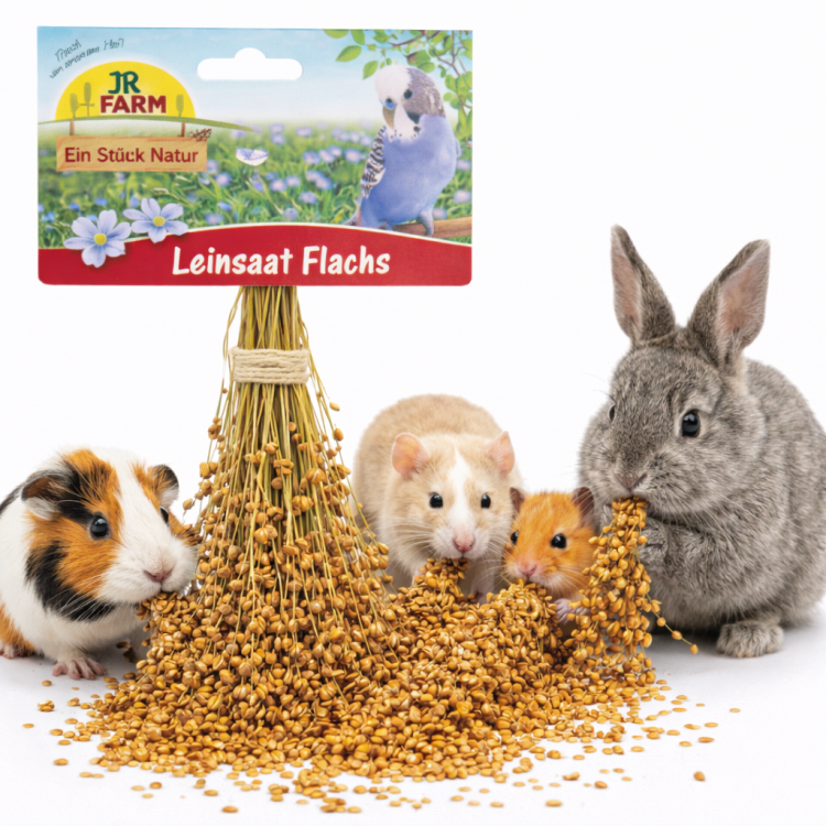 JR FARM Proso rozpierzchłe w kłosach 100 g naturalny przysmak dla gryzoni do żerowania od ParrotPlanet.pl