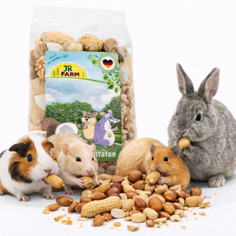 Orzechowy Mix 200 g wysokokaloryczna nagroda dla wybranych gryzoni  od ParrotPlanet.pl