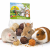 JR FARM Crunchy Trio 75 g 6 kulek smakołykowych dla królików i gryzoni od ParrotPlanet.pl