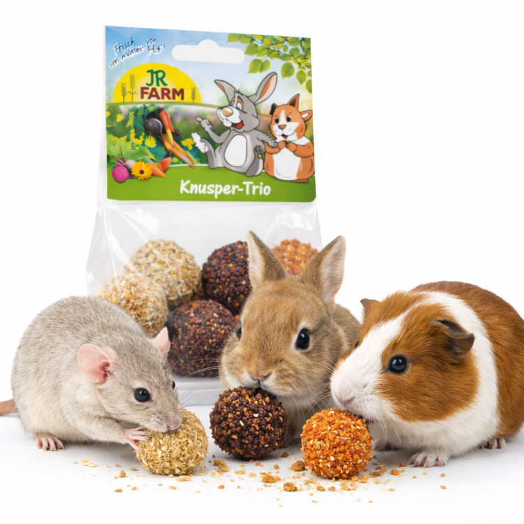 JR FARM Crunchy Trio 75 g 6 kulek smakołykowych dla królików i gryzoni od ParrotPlanet.pl