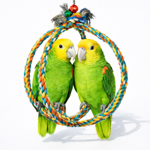 Huśtawka Planeta Papug - dla średnich i większych papug  od ParrotPlanet.pl