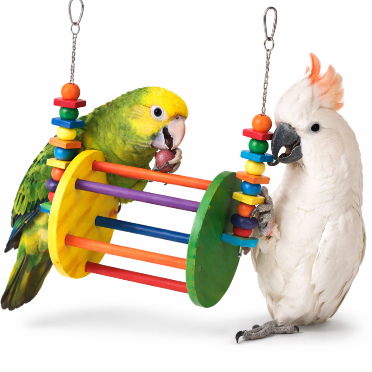 Diabelski Młyn XXL - Huśtawko zabawka dla papug od ParrotPlanet.pl