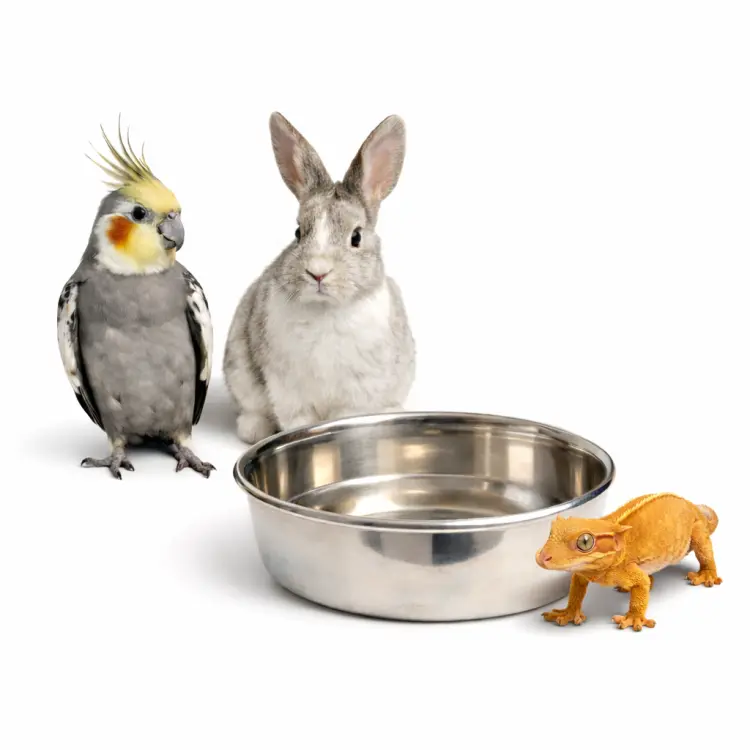 Metalowa Miska dla Zwierząt 11 cm | Uniwersalna miska na wodę i pokarm od ParrotPlanet.pl