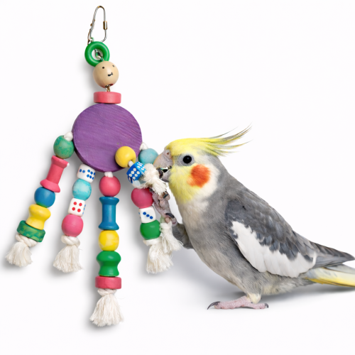 Wesoły Patryk – Kolorowa Zabawka dla wszystkich Papug od ParrotPlanet.pl