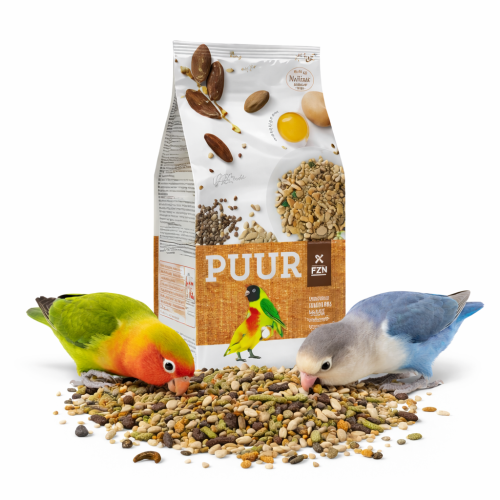 Gourmet Mieszanka Ziaren dla Nierozłączek | Zbilansowany pokarm z krokoszem i daktylami od ParrotPlanet.pl