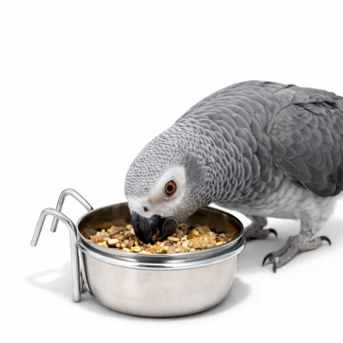 Zolux Miska Podwieszana ze Stali Nierdzewnej 0,56 l | Miska do klatki dla zwierząt od ParrotPlanet.pl